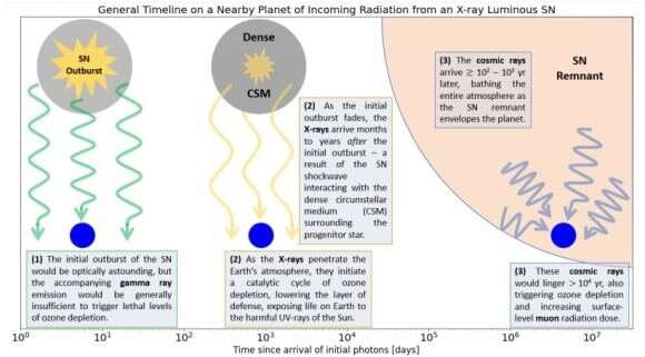 How dangerous are nearby supernovae to life on Earth?