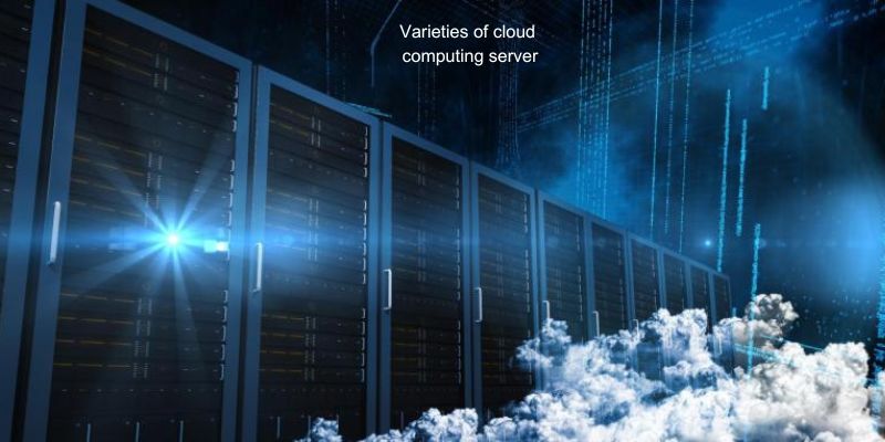 Varieties of cloud computing server